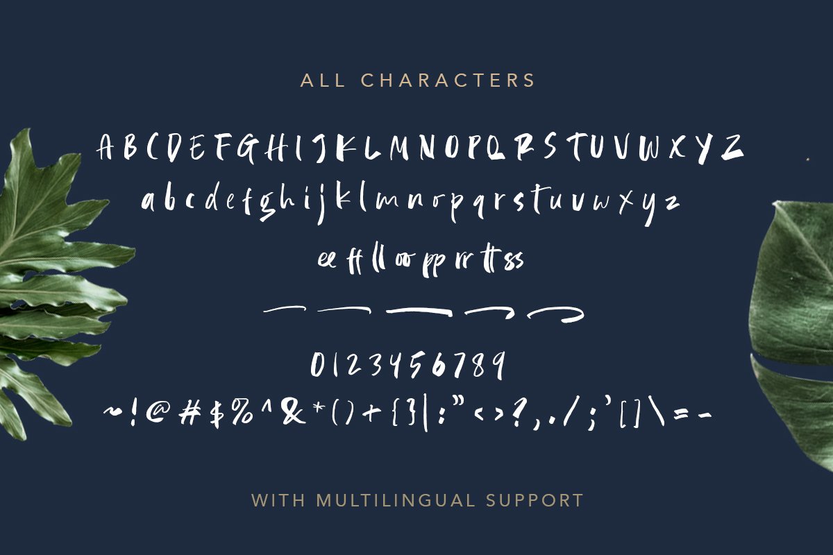 Beautiful Weakness - Handwritten Font - Design Cuts