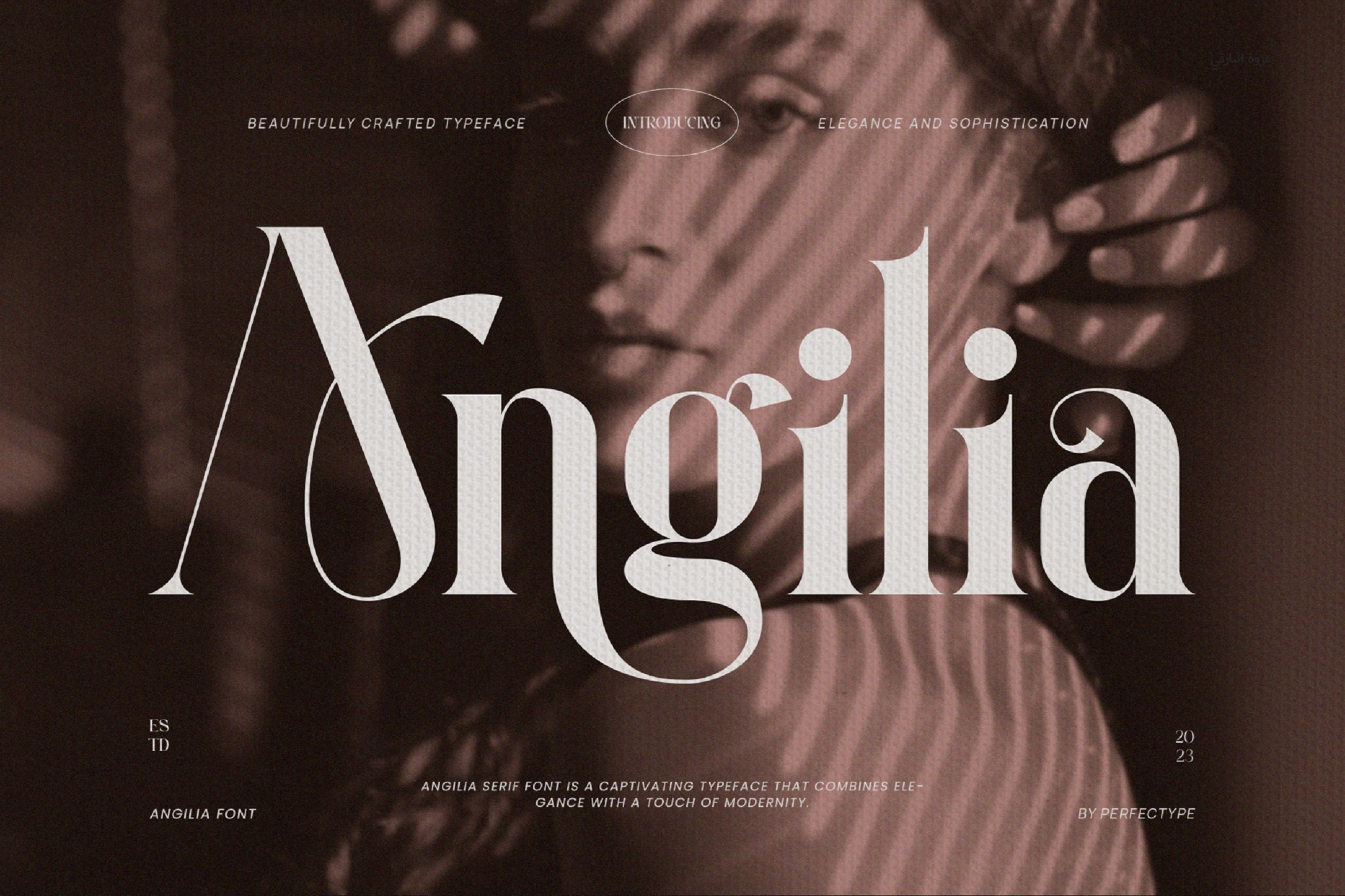 Angilia Elegant Serif Font - Design Cuts