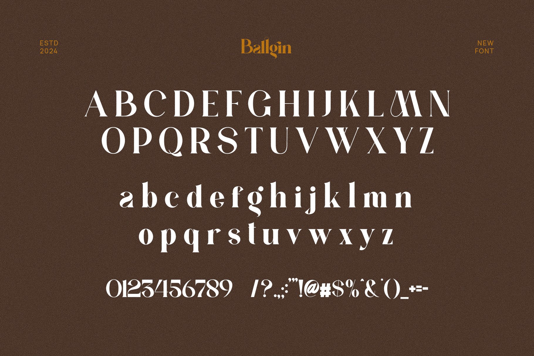 Ballgin Elegant Ligature Serif Font - Design Cuts