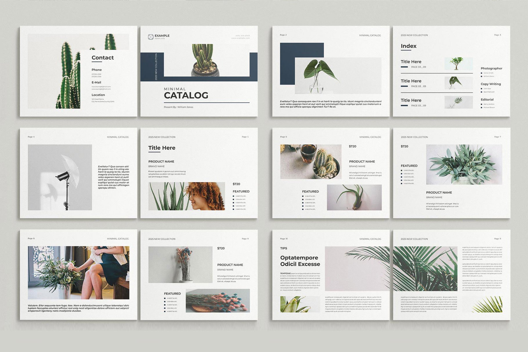 Minimal Catalog Template Landscape - Design Cuts