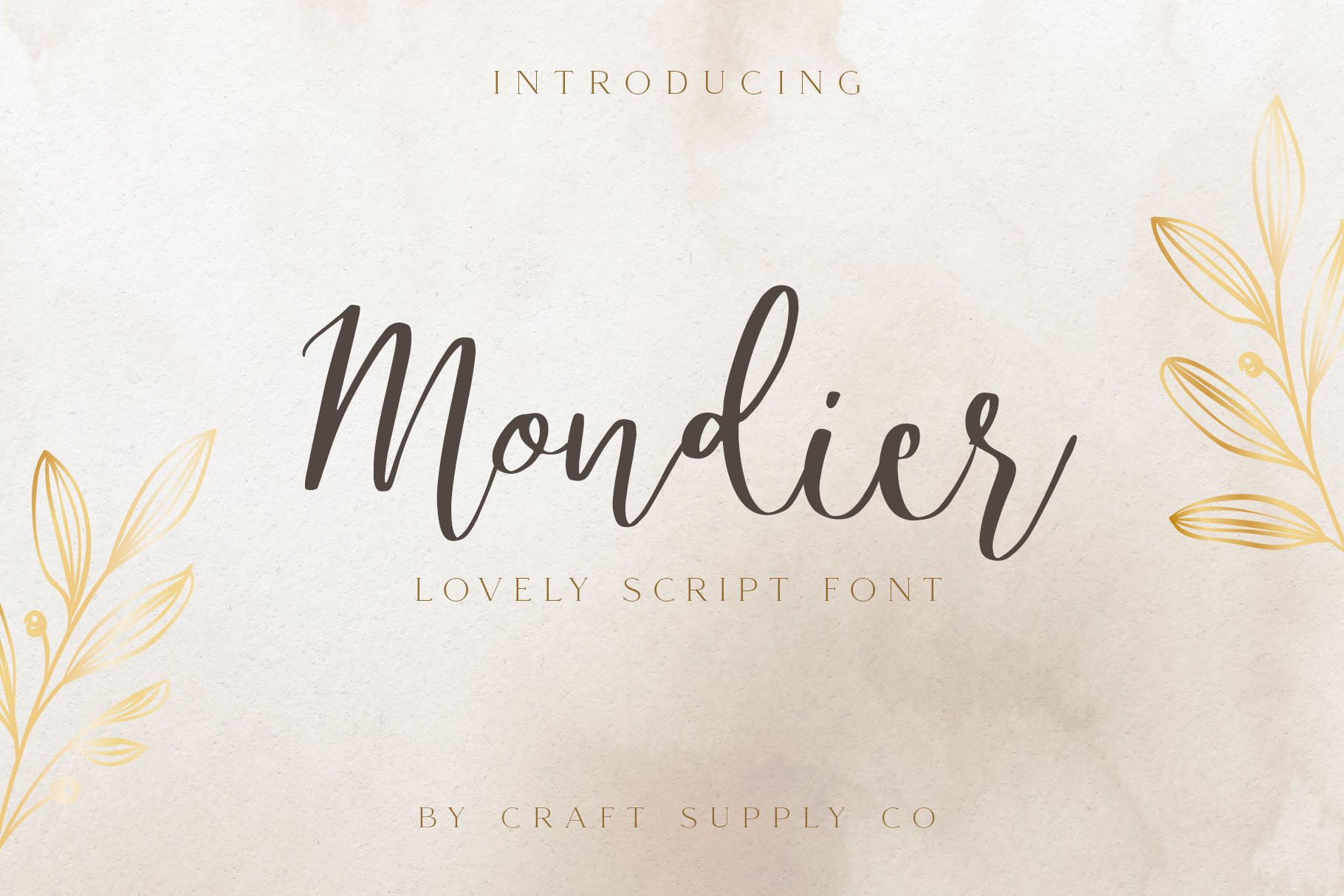 Mondier – Lovely Script Font - Design Cuts