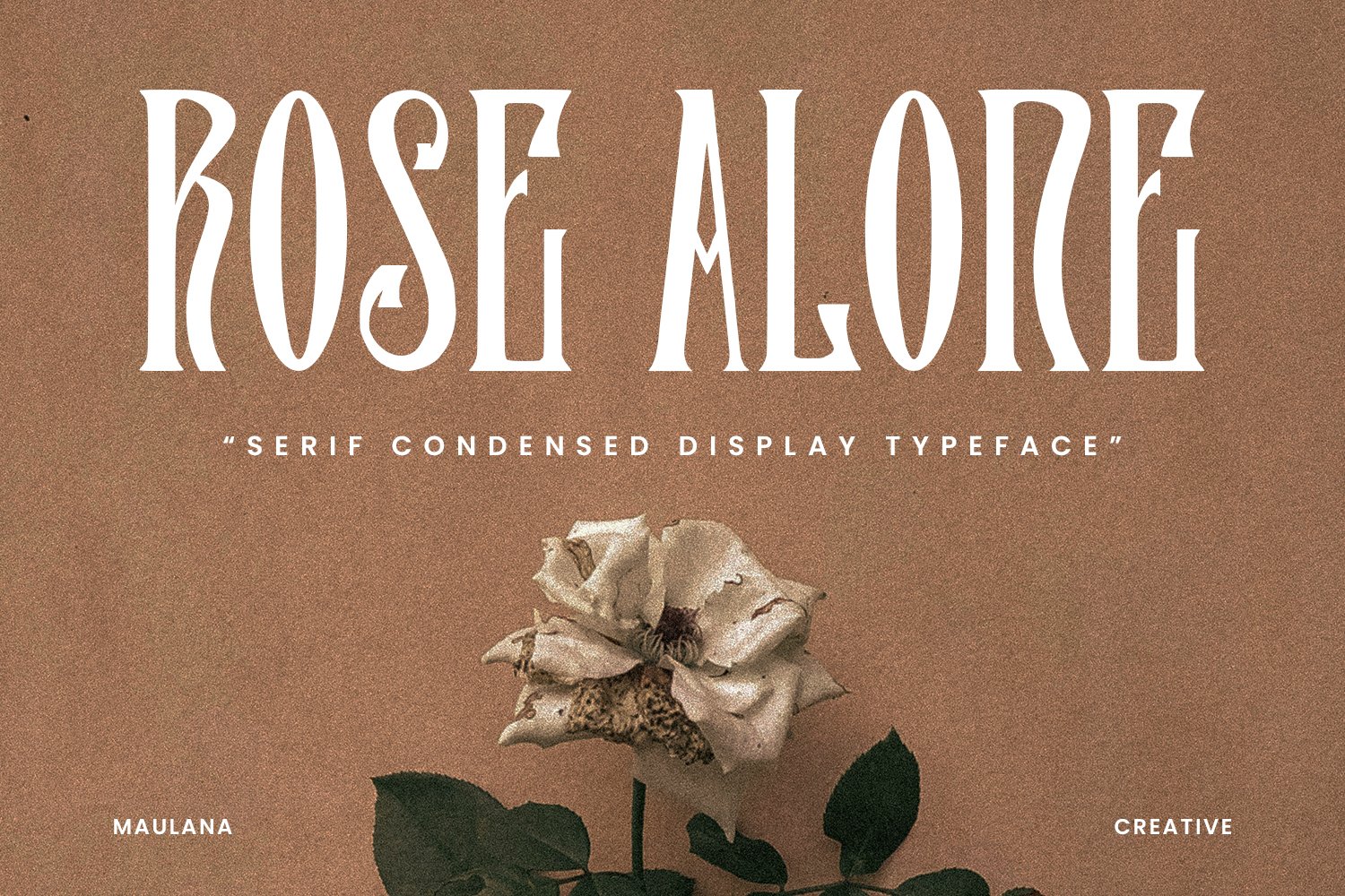 Rose Alone Serif Condensed Display Typeface - Design Cuts