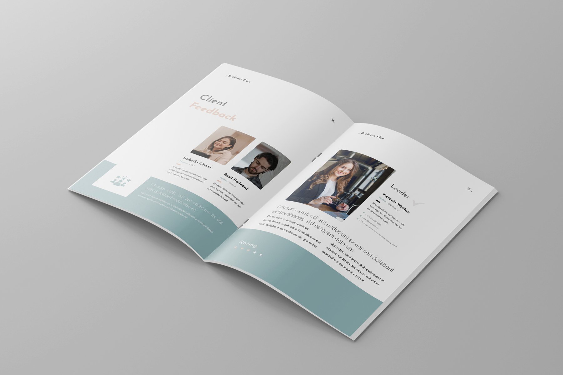 Business Plan Brochure Template 2 - Design Cuts