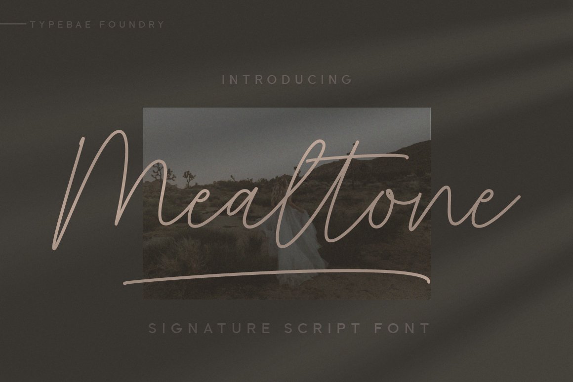 Mealtone Signature Script Font Design Cuts 