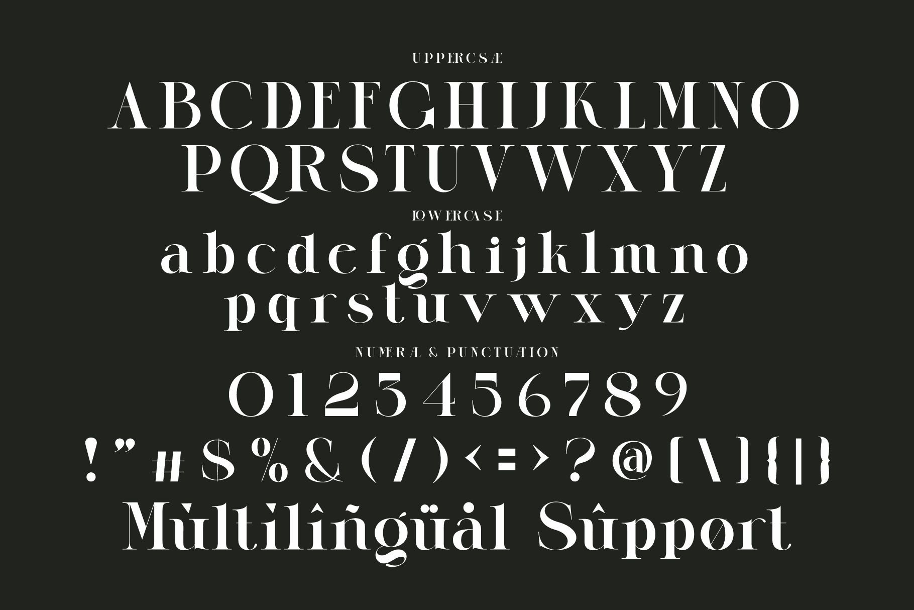 MUNNIER Modern Ligature Serif - Design Cuts