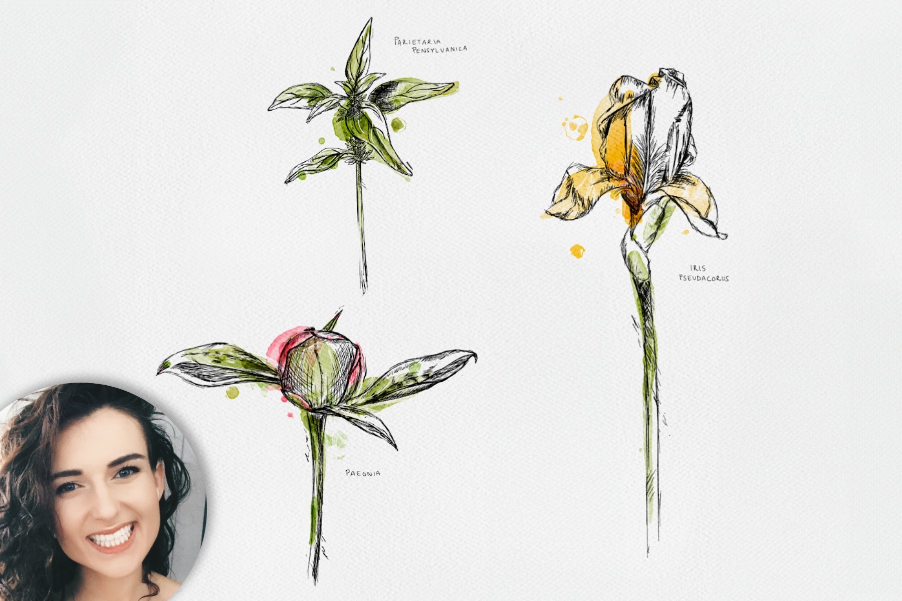 How To Draw Inky Botanicals In Procreate - Design Cuts