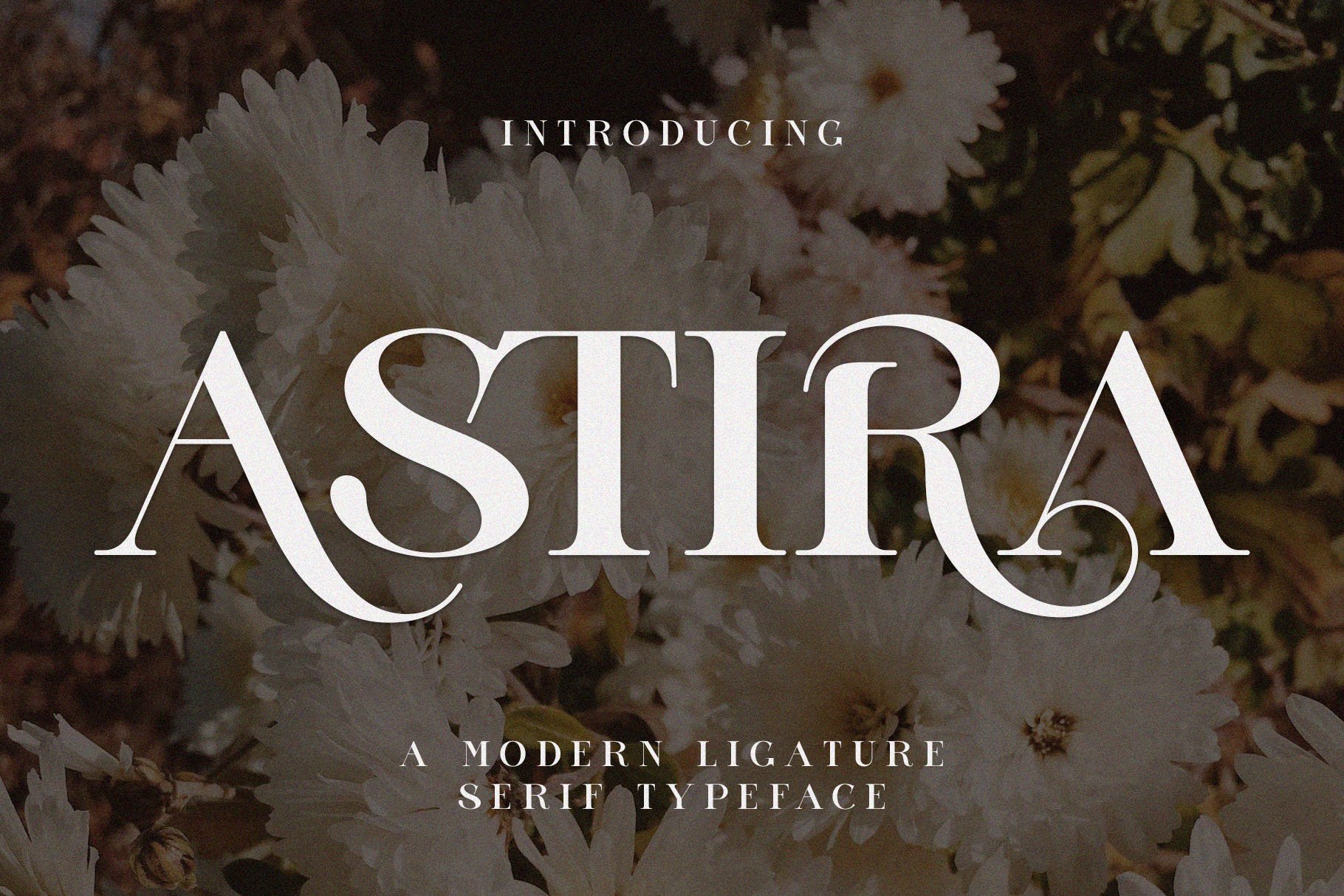 ASTIRA Modern Ligature Serif - Design Cuts