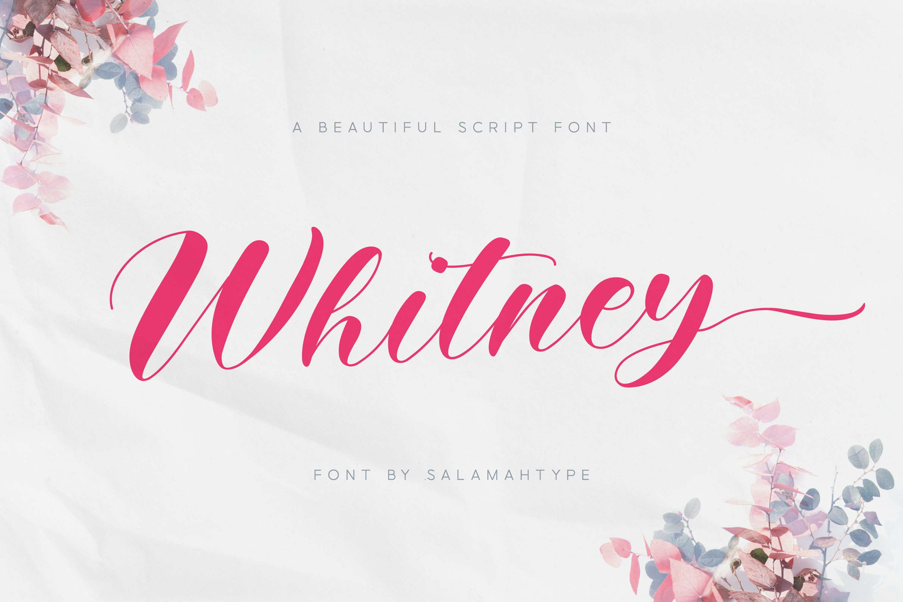 Whitney - Script Font - Design Cuts