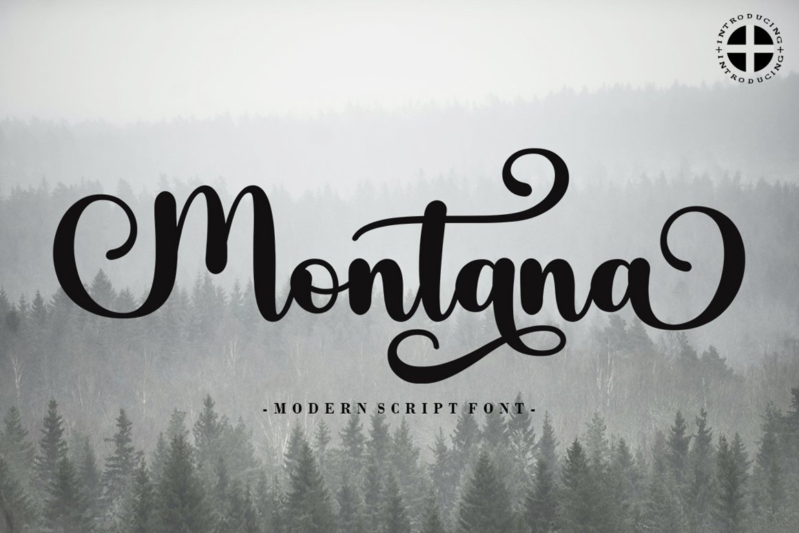 Montana Stylish Script Font Design Cuts