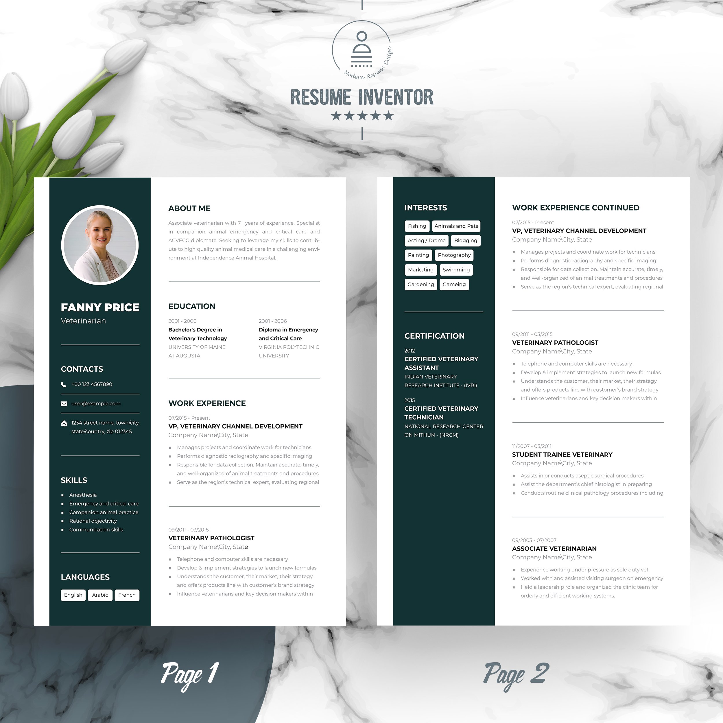 Modern Resume - Design Cuts