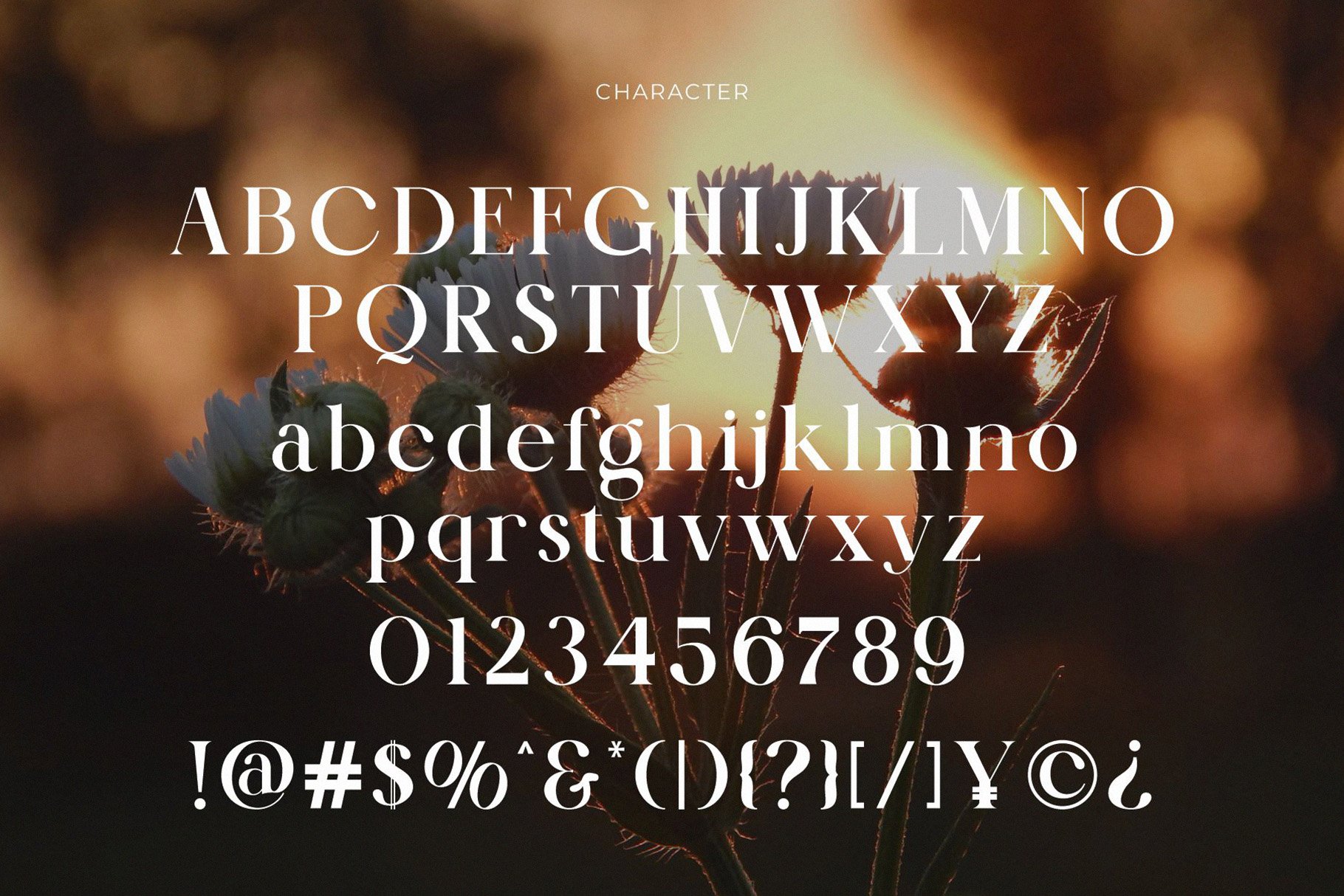 Kalroste Brontela Display Serif - Design Cuts