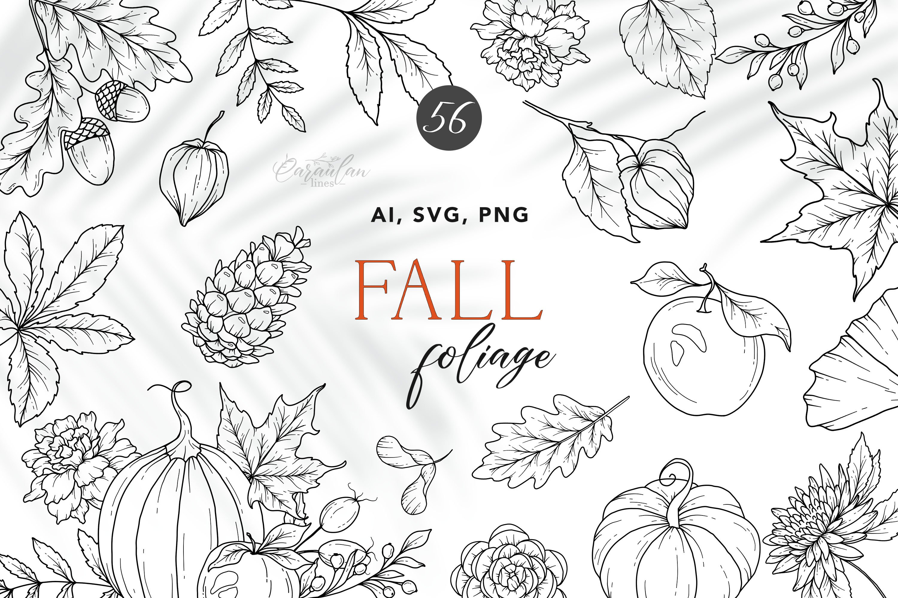 Fall Foliage Line Art - Design Cuts