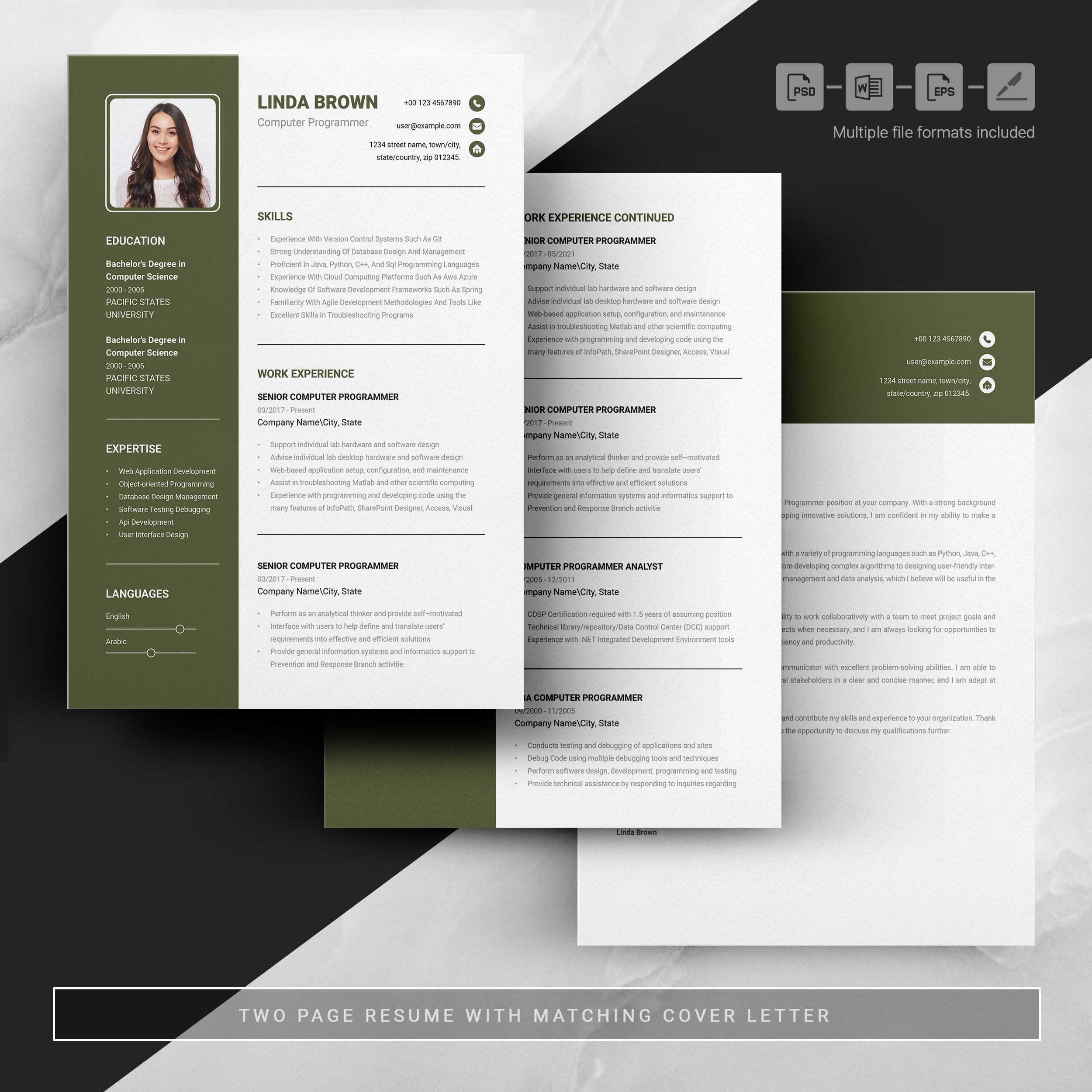 Programmer Resume Template For Word 2 - Design Cuts