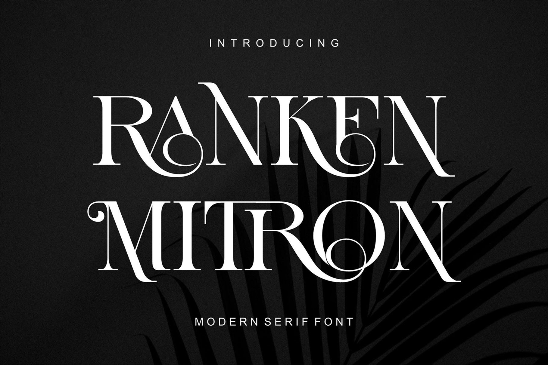 Ranken Mitron Modern Ligature Serif - Design Cuts