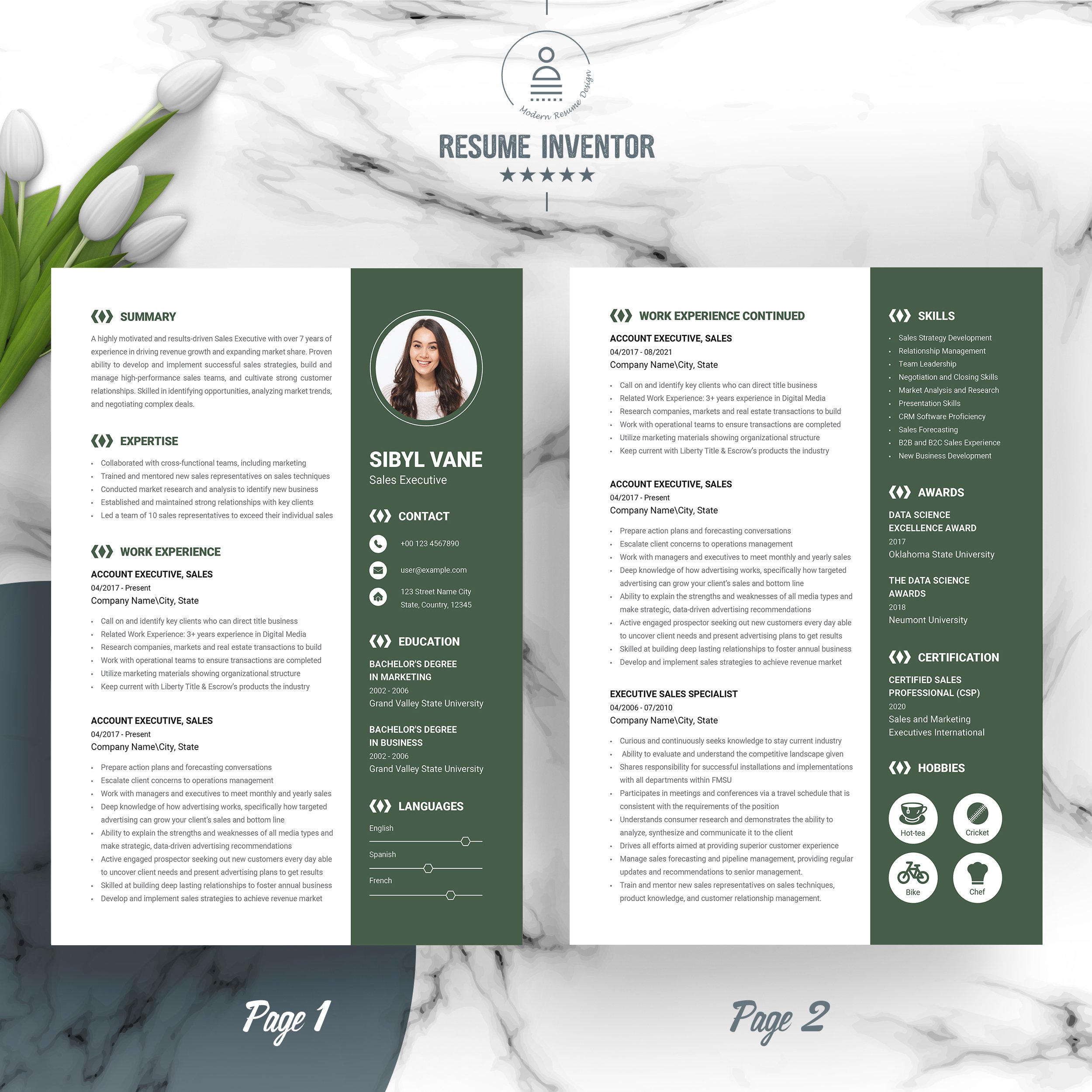 Sales Executive Resume Template - Design Cuts