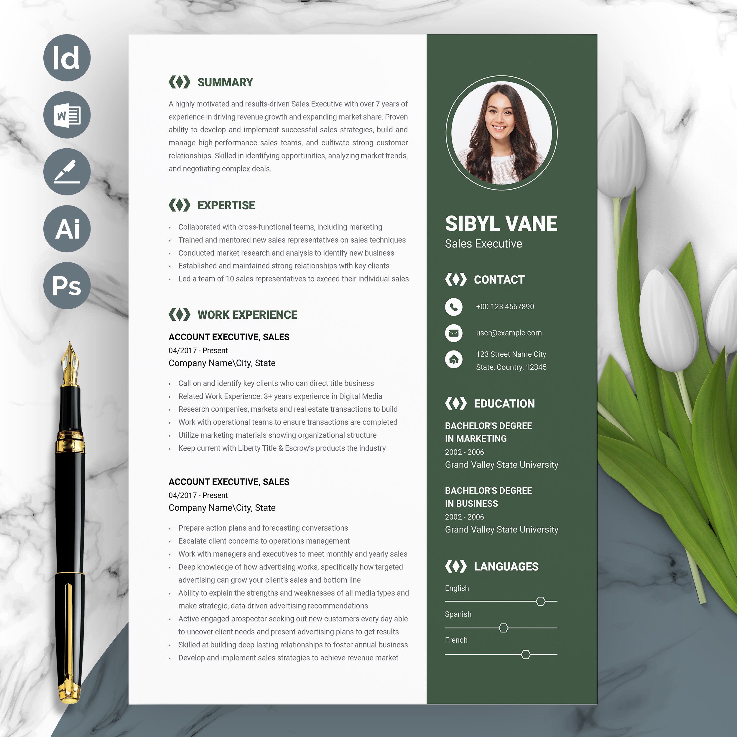 Sales Executive Resume Template - Design Cuts