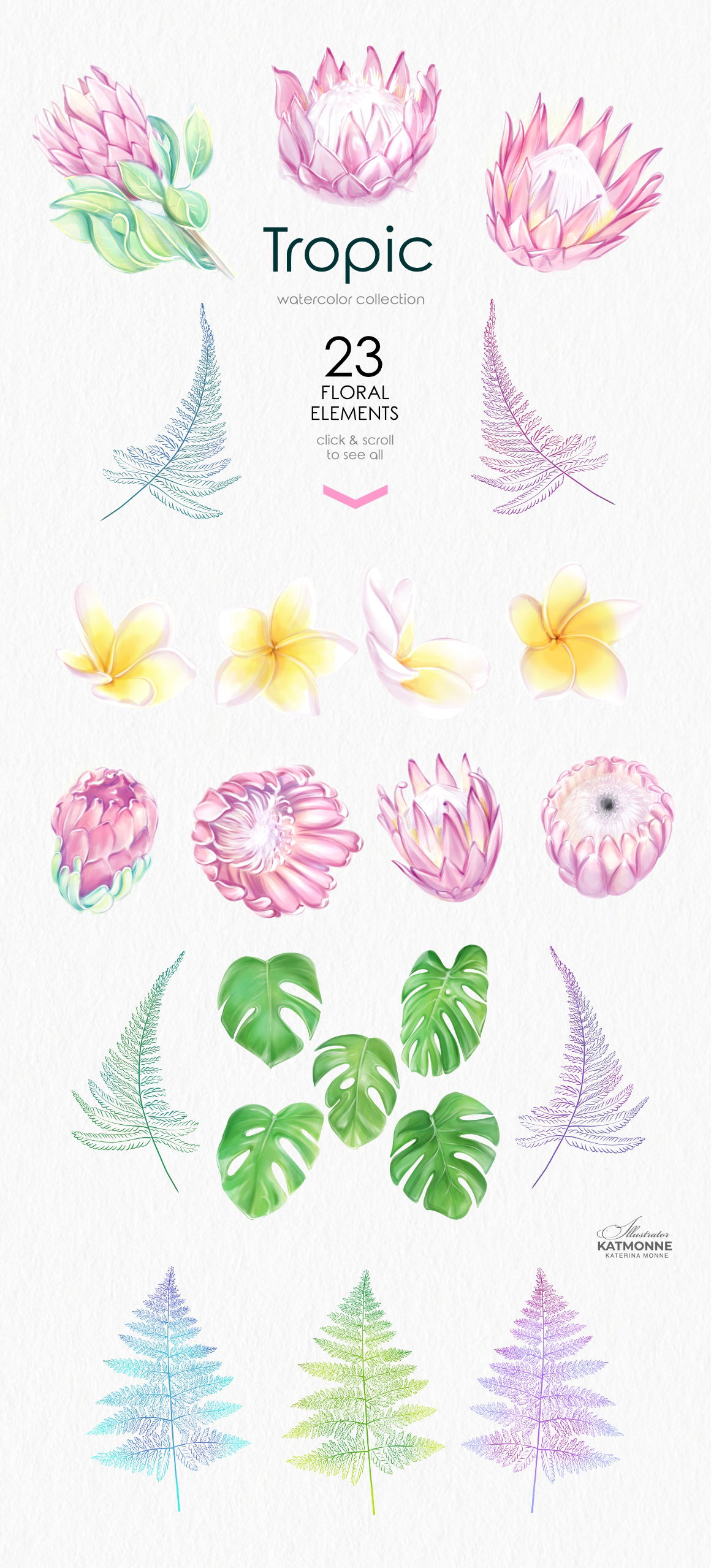 Tropic Protea Watercolor Clip Art - Design Cuts