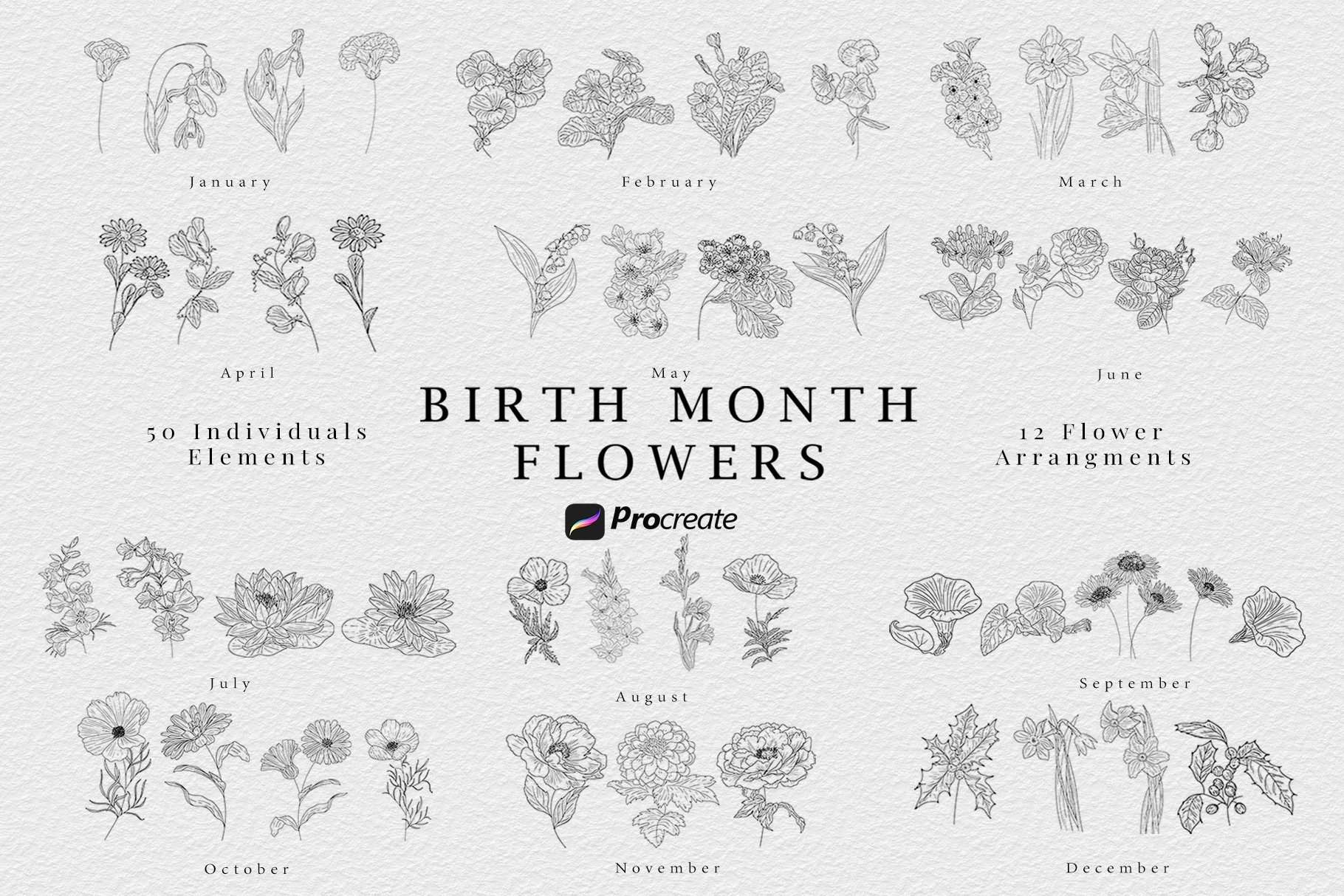 Procreate Birth Month Florals - Design Cuts