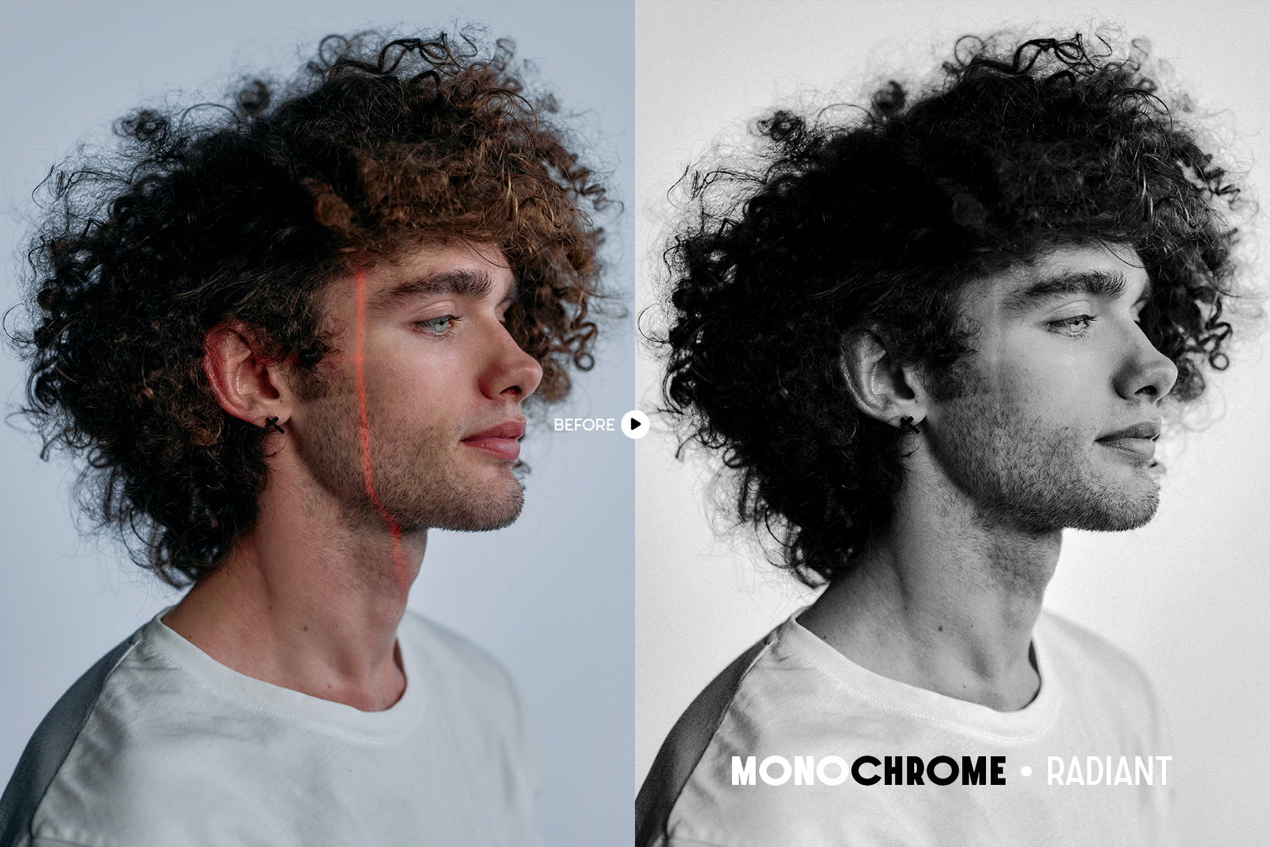 Monochrome Lightroom Presets - Design Cuts