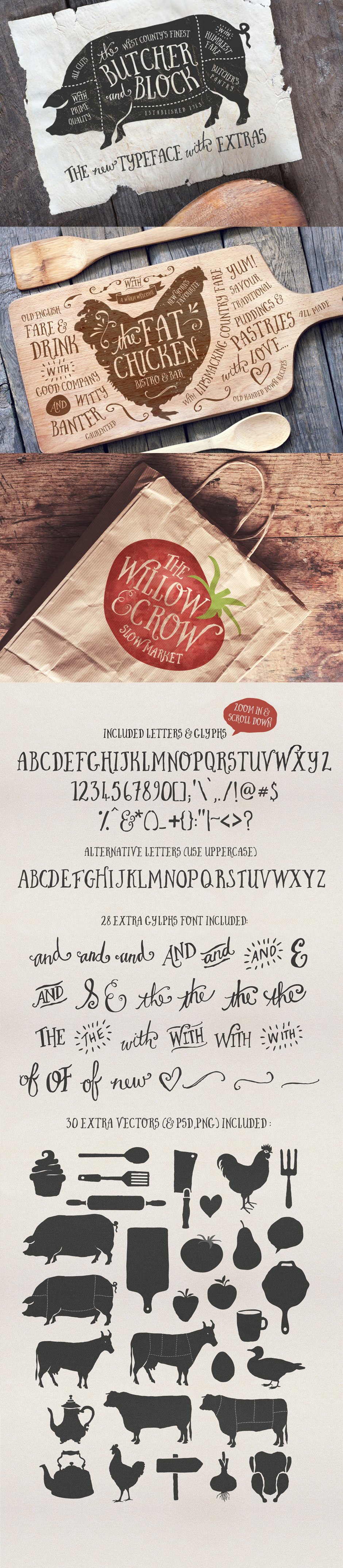 Comprehensive Creative Font Collection
